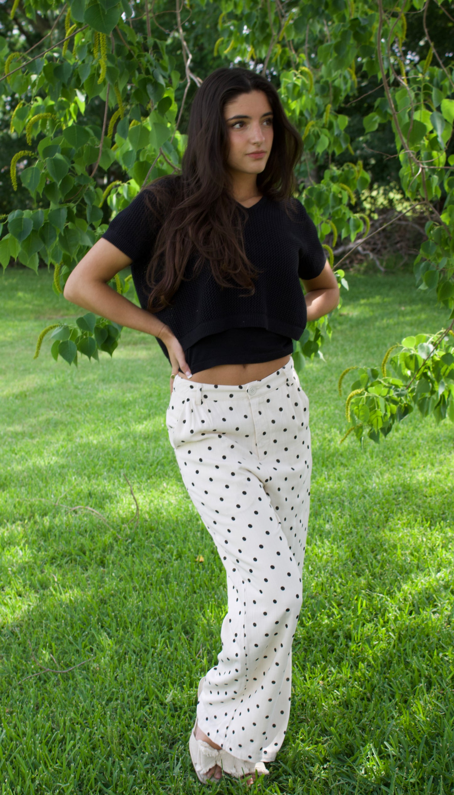 Cream Black & White Polka Dot Dress Pants