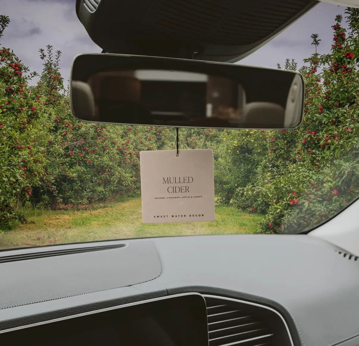 MULLED CIDER HANGING AIR FRESHENER