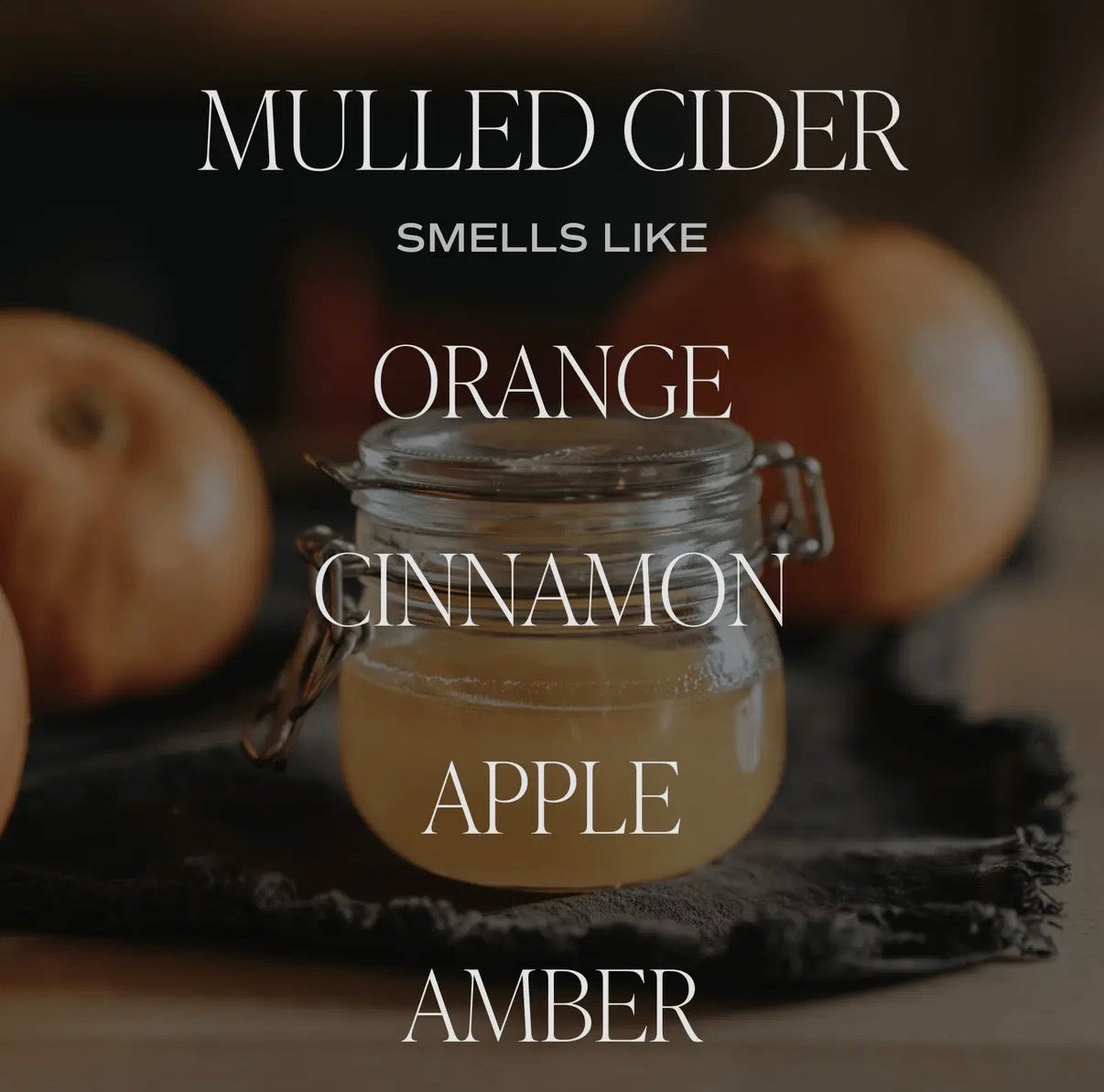 MULLED CIDER HANGING AIR FRESHENER