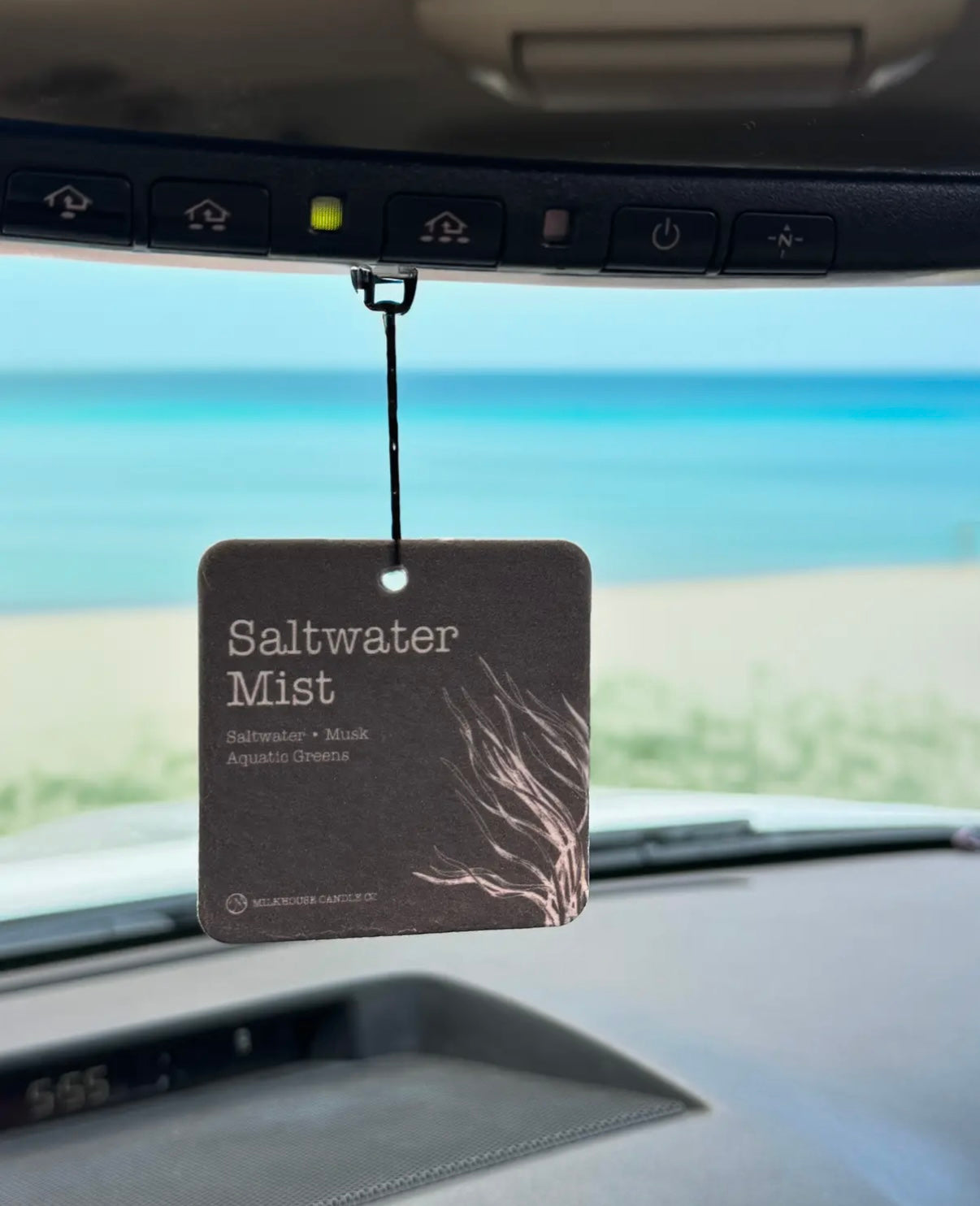 Saltwater Mist Car Freshie