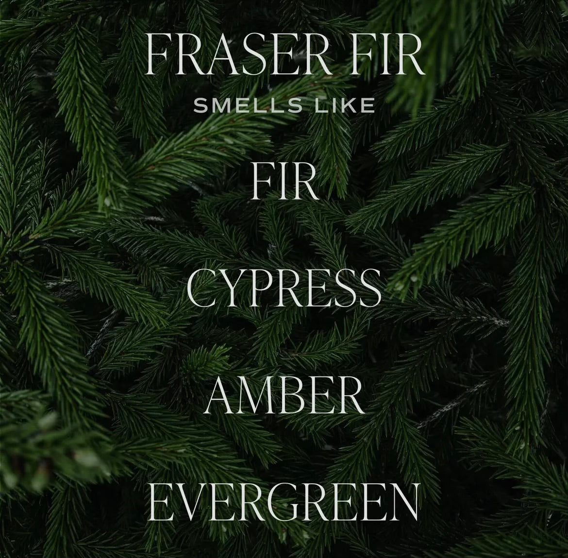 Fraser Fir Air Freshener