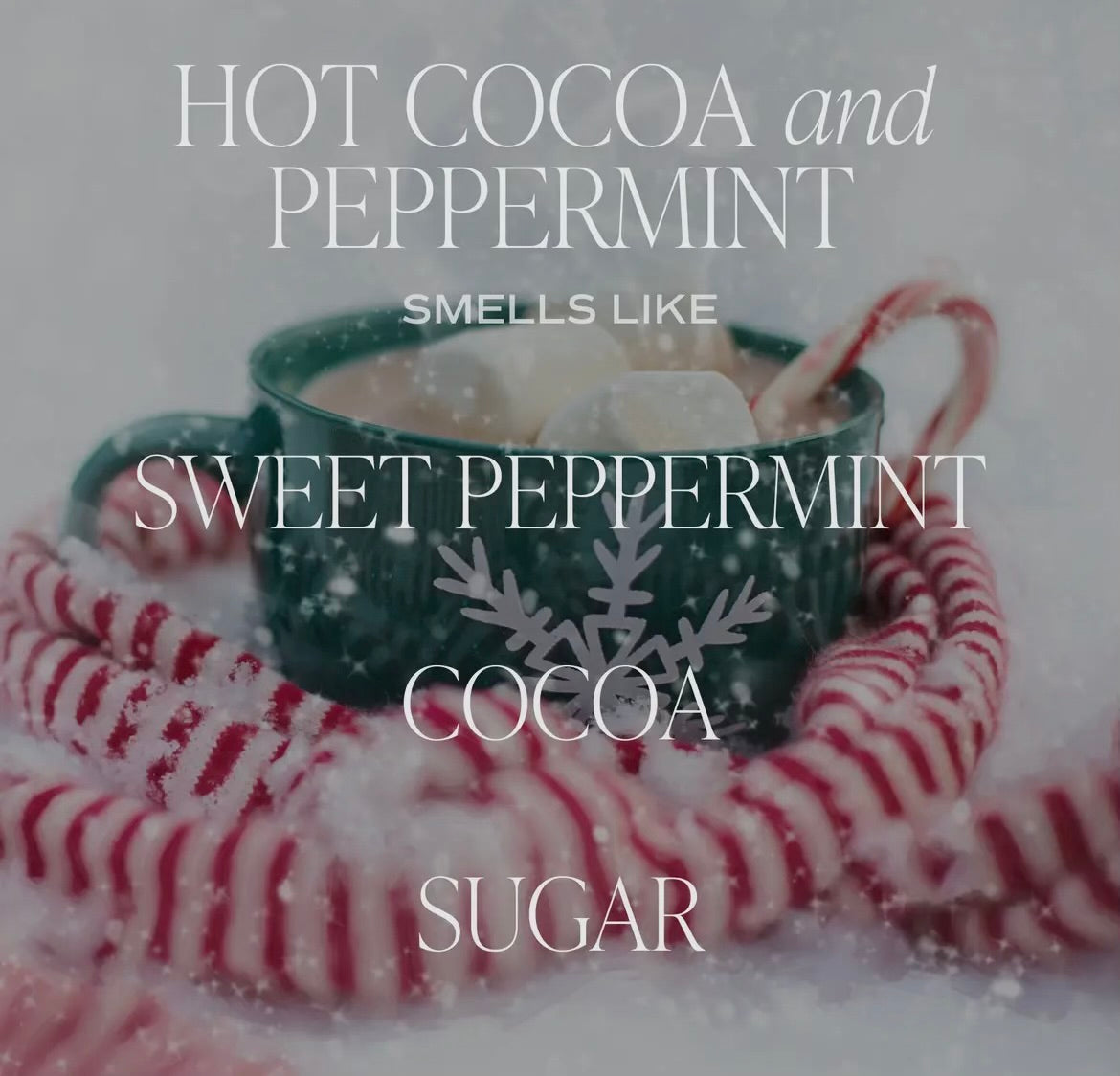 Hot Cocoa And Peppermint 9OZ Soy Candle