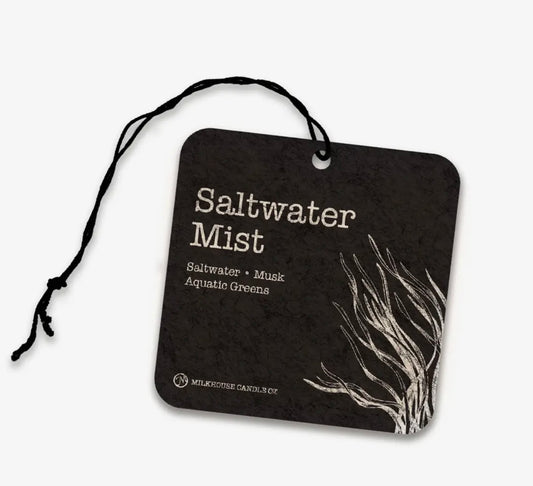 Saltwater Mist Car Freshie