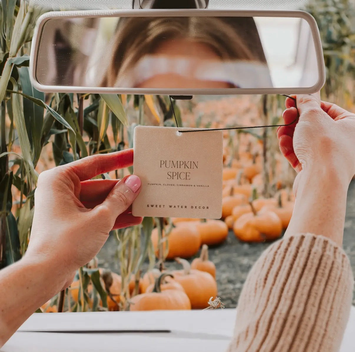 PUMPKIN SPICE HANGING AIR FRESHENER