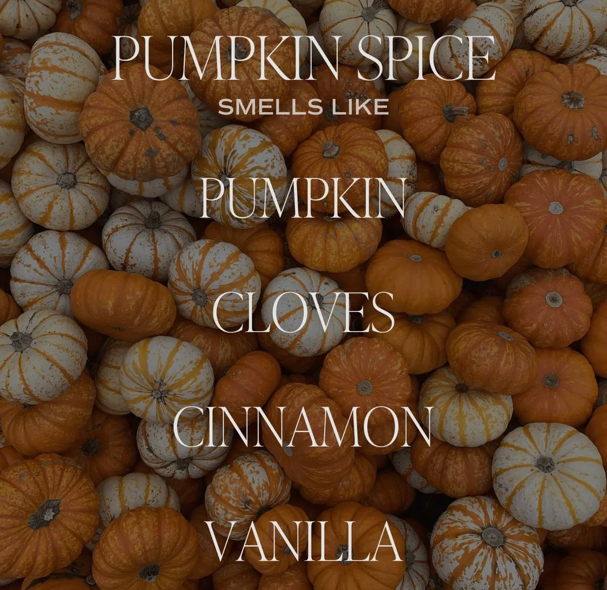 PUMPKIN SPICE REED DIFFUSER