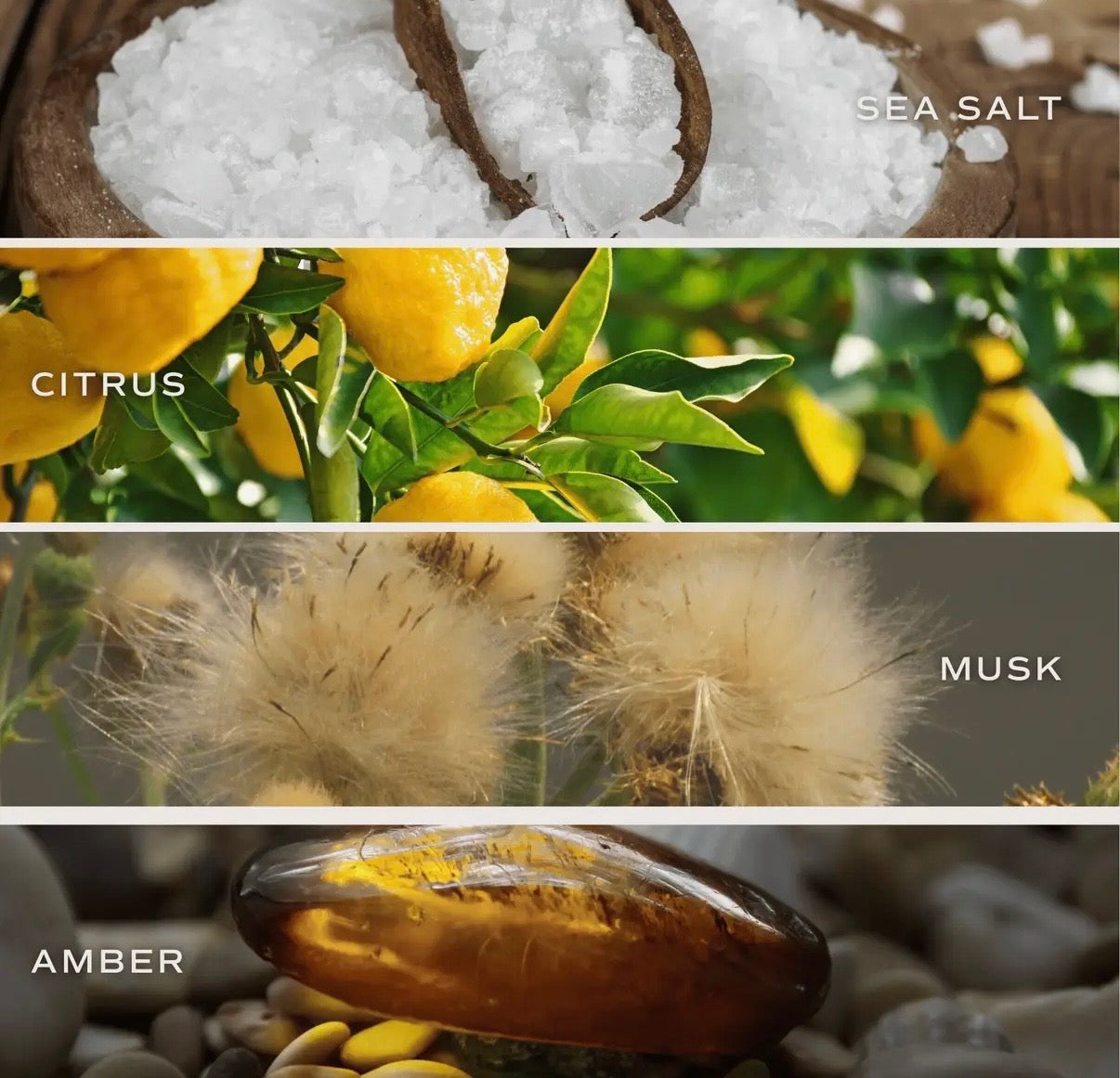 Salt And Sea Reed Diffuser